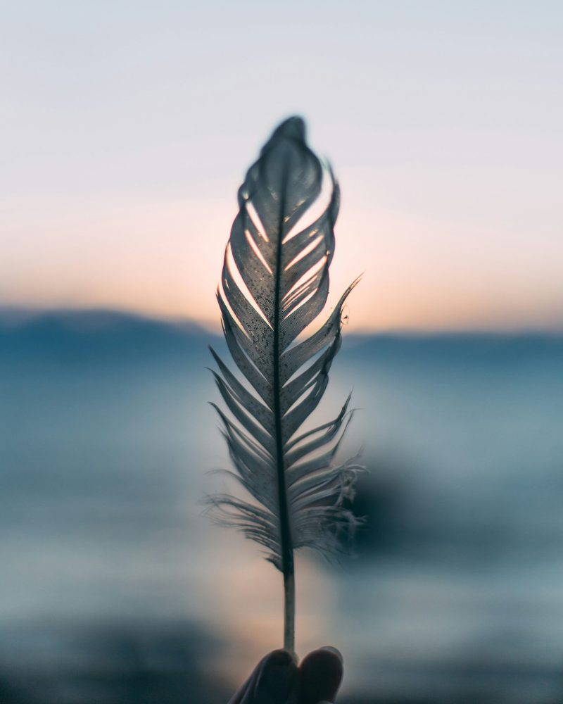daiga-ellaby-h43VqtlnV7U-unsplash