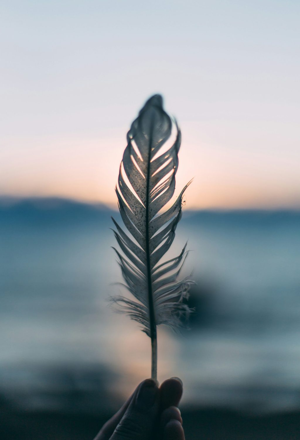 daiga-ellaby-h43VqtlnV7U-unsplash